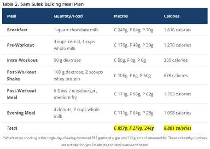 Sam Sulek Diet Plan and Workout Routine (June 2024) Tikkay Khan