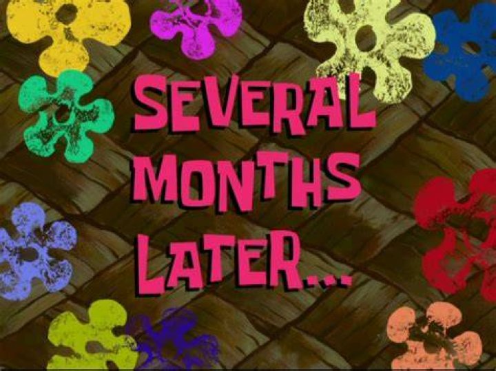 Several Months Later... SpongeBob Time Cards Know Your Meme