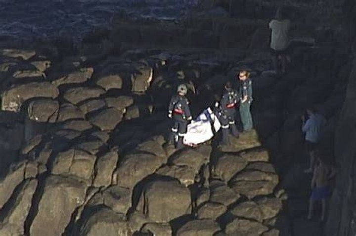 Shark kills scuba diver off Australia's Great Barrier Reef