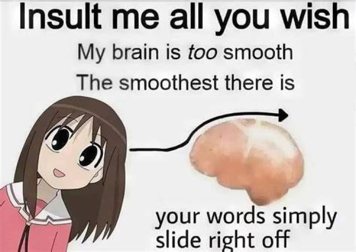 Smooth Brain memes