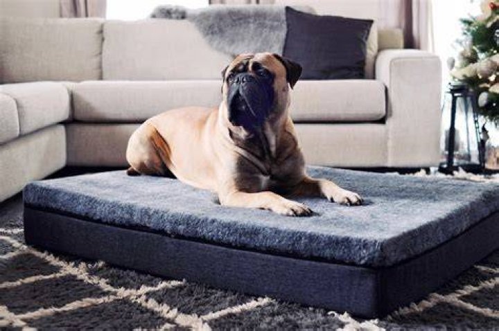 Snooza Big Dog Bed Chinchilla Pawd & Clawd
