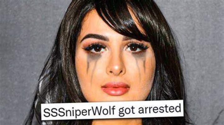 SSSniperWolf WAS ARRESTED... YouTube