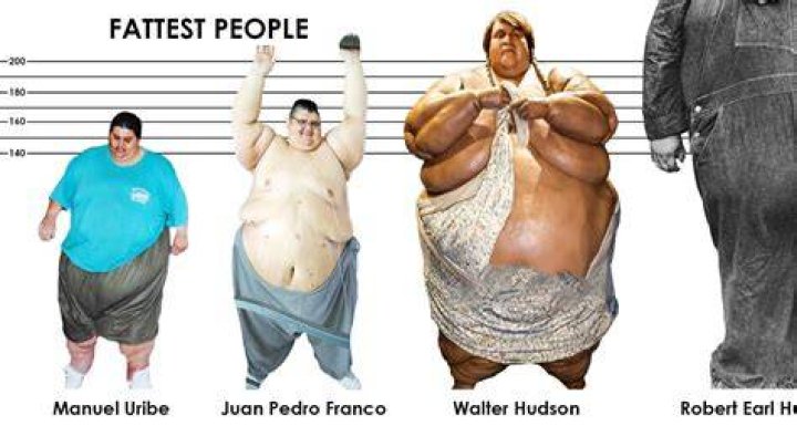 The 10 Fattest Men To Ever Fight Professionally