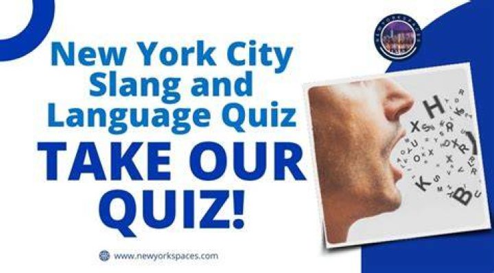 The Vibrant World Of TP NY Slang