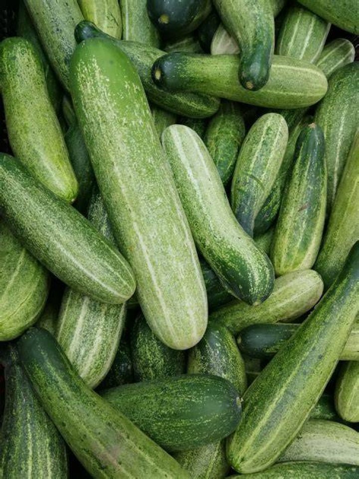 Too Many Cucumbers Ines Rodrigues Author