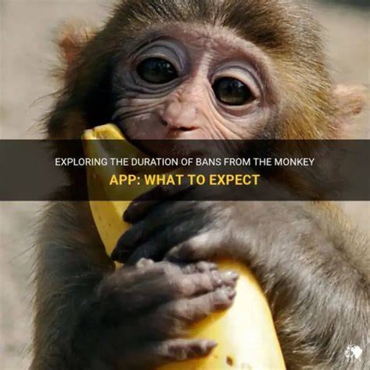Unraveling The Mystery Behind Being Banned On Monkey App