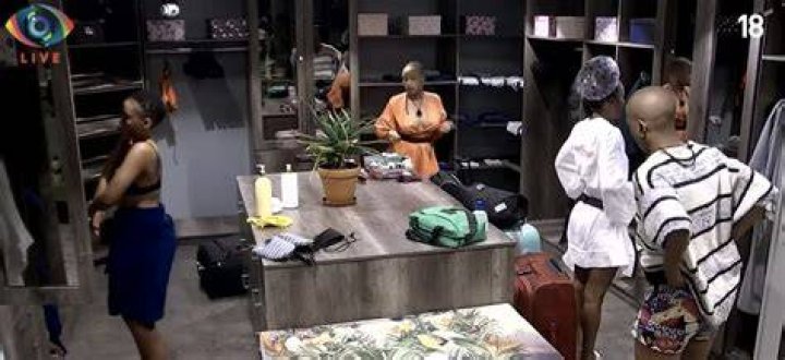 Unveiling The Magic Of BB Africa Shower Hour