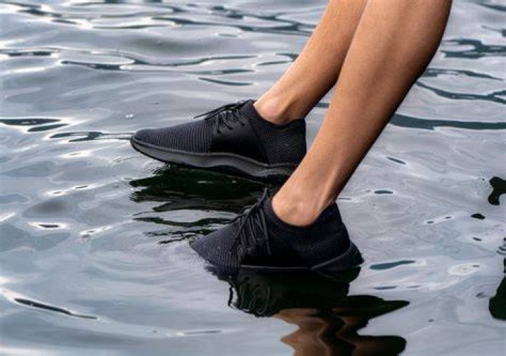 Vessi Waterproof Shoes / Sneakers, Women's Fashion, Footwear, Sneakers
