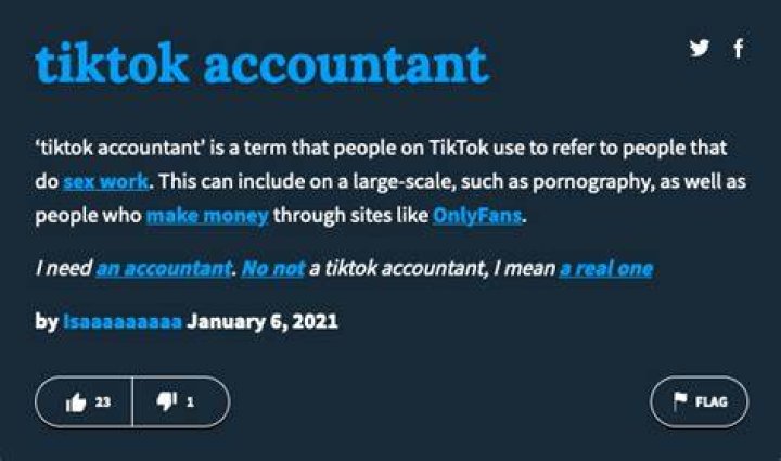 What Is a Tiktok Accountant? Slang Term for Adult Content Creator Goes