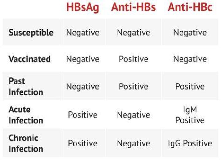What is AntiHBS, what does positive and negative AntiHBS mean