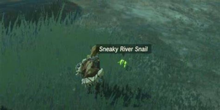 Where To Find Sneaky River Snail in Tears of The Kingdom in 2023