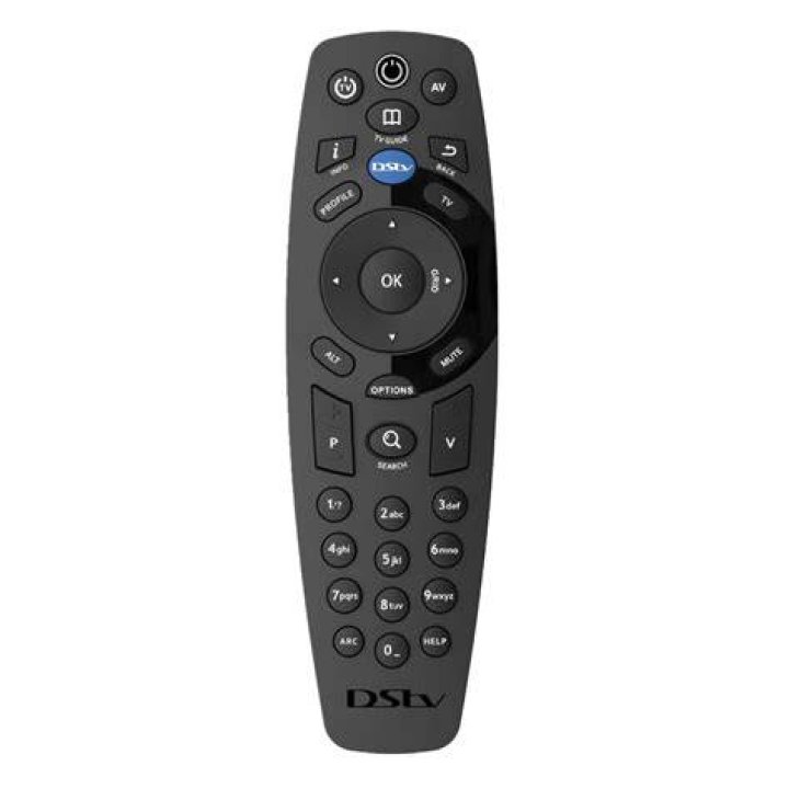 [Whole Store Price Reduction] Remote Control Bee Tik Tok Electric